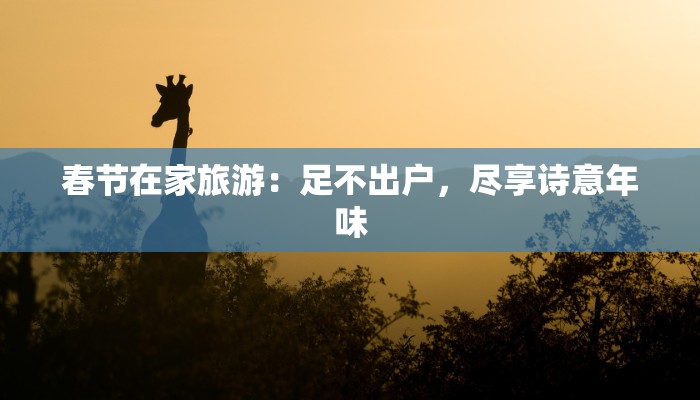 春节在家旅游：足不出户，尽享诗意年味