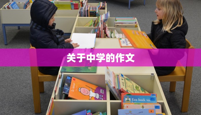 关于中学的作文