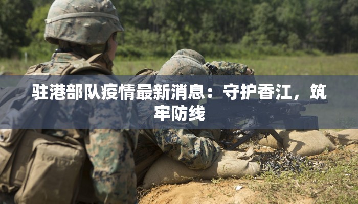 泰安新泰物流快递：高效便捷，连接您的每一天