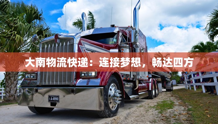 大南物流快递：连接梦想，畅达四方