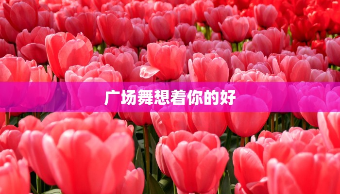 广场舞想着你的好