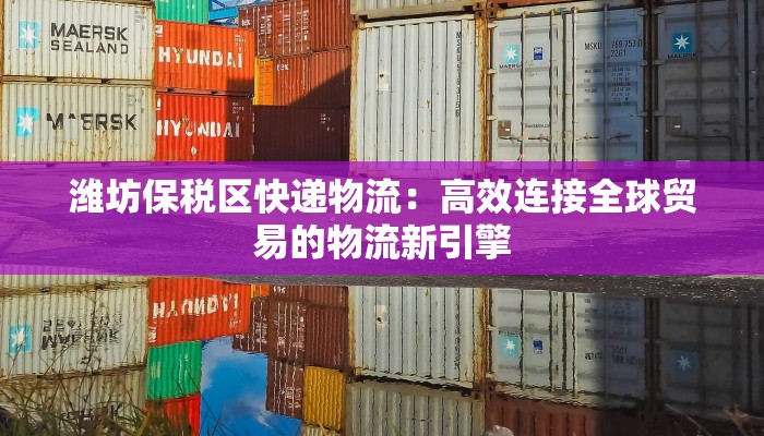 潍坊保税区快递物流：高效连接全球贸易的物流新引擎