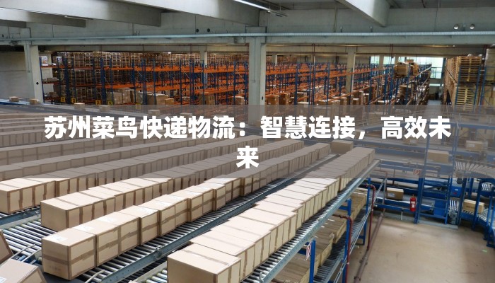 苏州菜鸟快递物流:智慧连接,高效未来 苏州菜鸟快递物流:智慧连接,高效未来