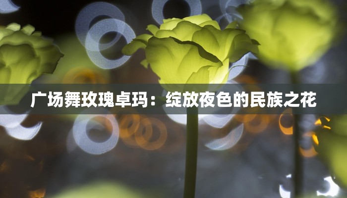 广场舞玫瑰卓玛:绽放夜色的民族之花 广场舞玫瑰卓玛:绽放夜色的民族之花