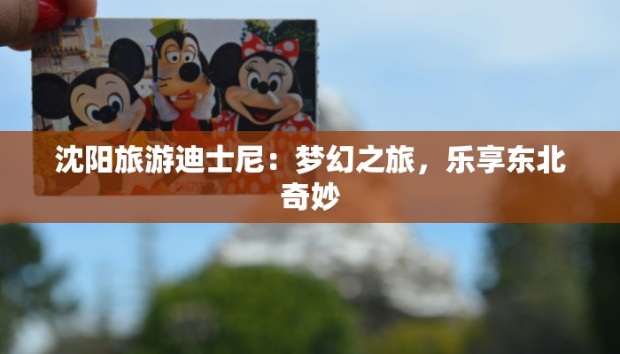 沈阳旅游迪士尼:梦幻之旅,乐享东北奇妙 沈阳旅游迪士尼:梦幻之旅,乐享东北奇妙