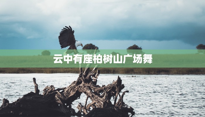 云中有座柏树山广场舞 云中有座柏树山广场舞